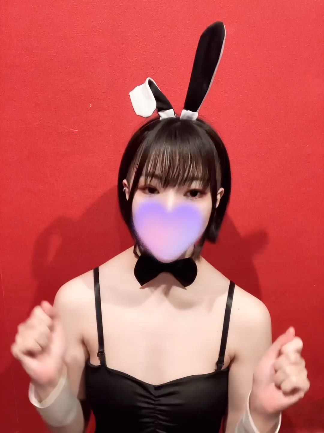 本日のDOGA