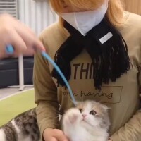 癒しをお届け(ΦωΦ)