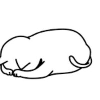 今日と明日お休みに変更