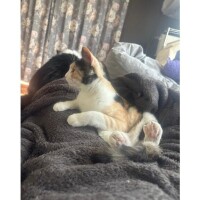 17:00~にゃ