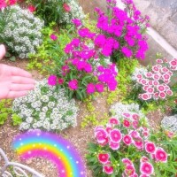 心外無別法。静かに、己と共に。??*。