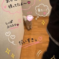 ﾁｬｯﾋﾟｰ