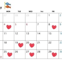 5月?出勤予定