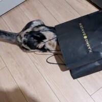 嬉しい差し入れ♡