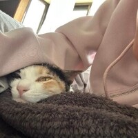 だらだらライフ