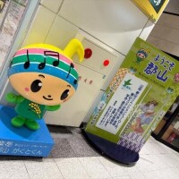 おはようございます?