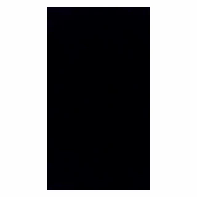 数時間限定動画(音声注意)*。