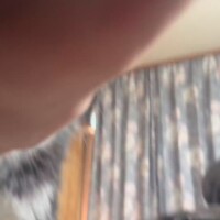 寝すぎ大臣( ˘ω˘ ) ｽﾔｧ…