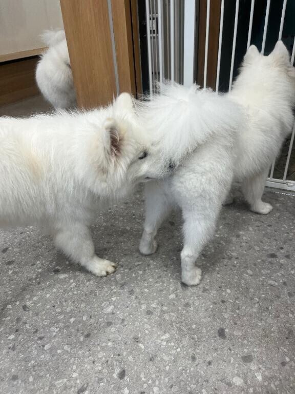 退勤