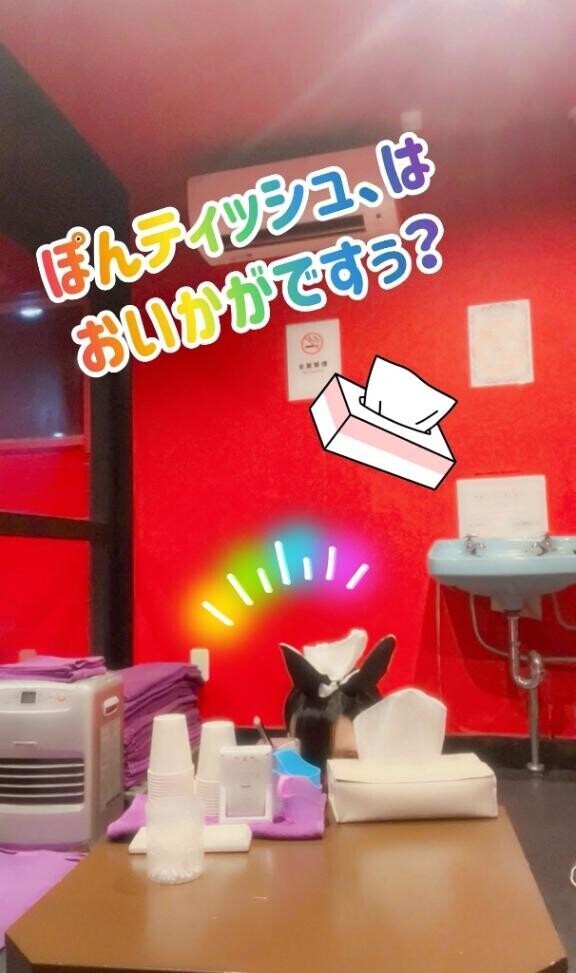 これぞ、素敵な導入??*。