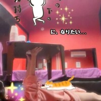 風俗用語あれこれ??*。