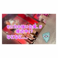 動画*。