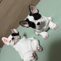 明日休みになってるよ！！！