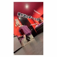 動画*。