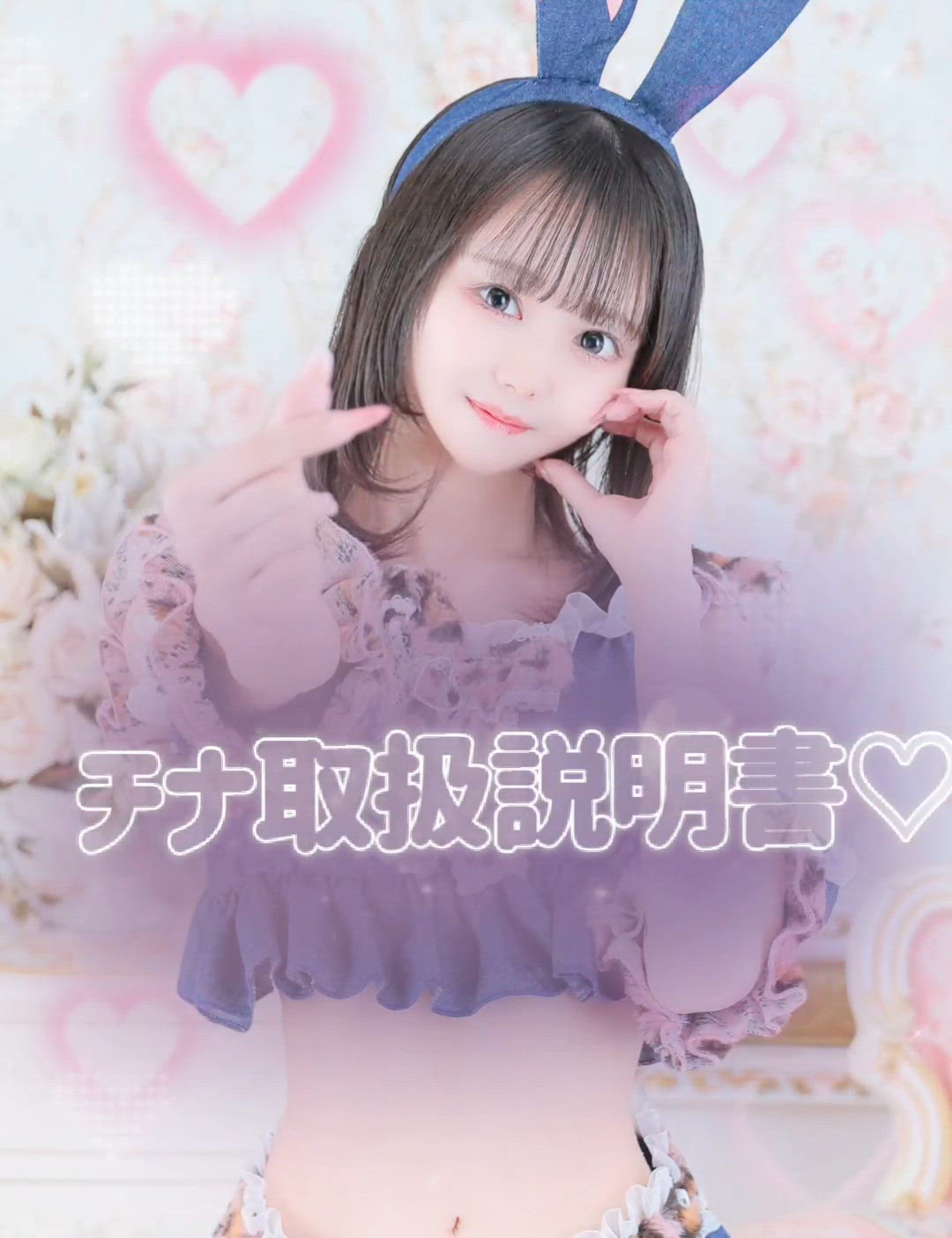 チナの説明書