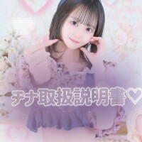 チナの説明書