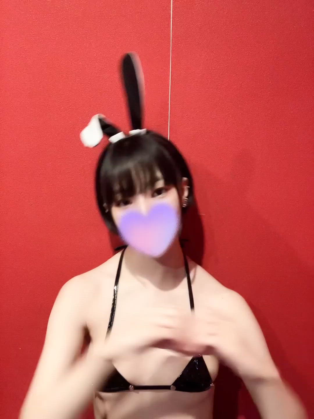 本日のDOGA