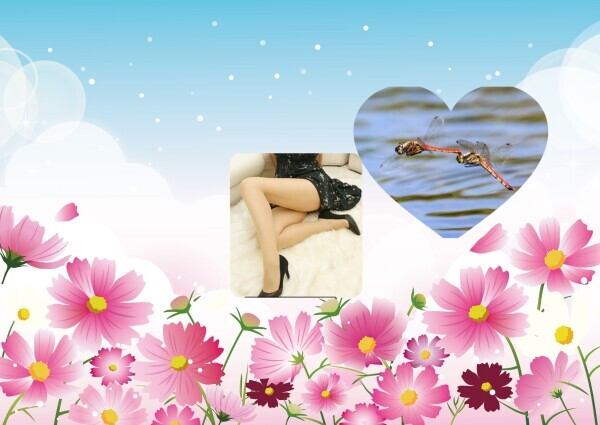 おはようございます