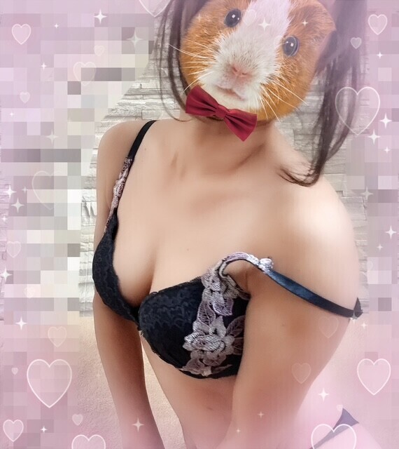 ありがとうございました