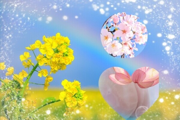 ありがとうございました