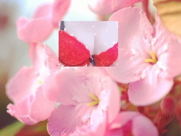 おはようございます