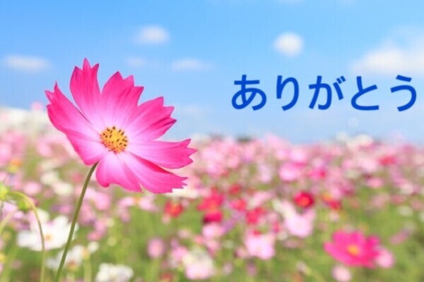 ありがとうございました