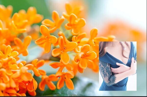 おはようございます