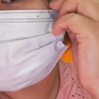 今日は