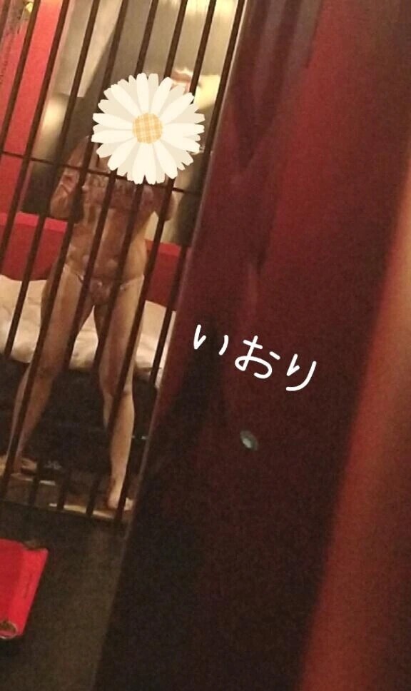 どんなことする？