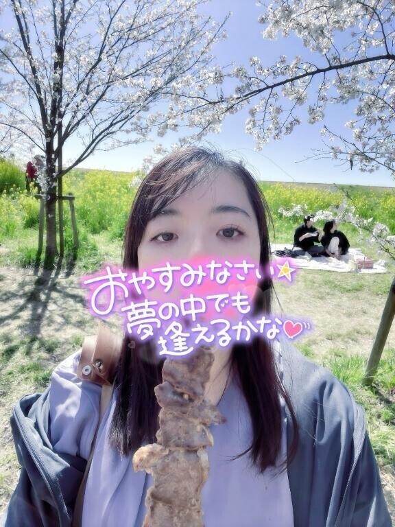 お家に帰るまでが夢の国