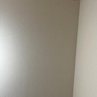 白い天井
