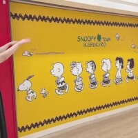 全員せいれーつ！