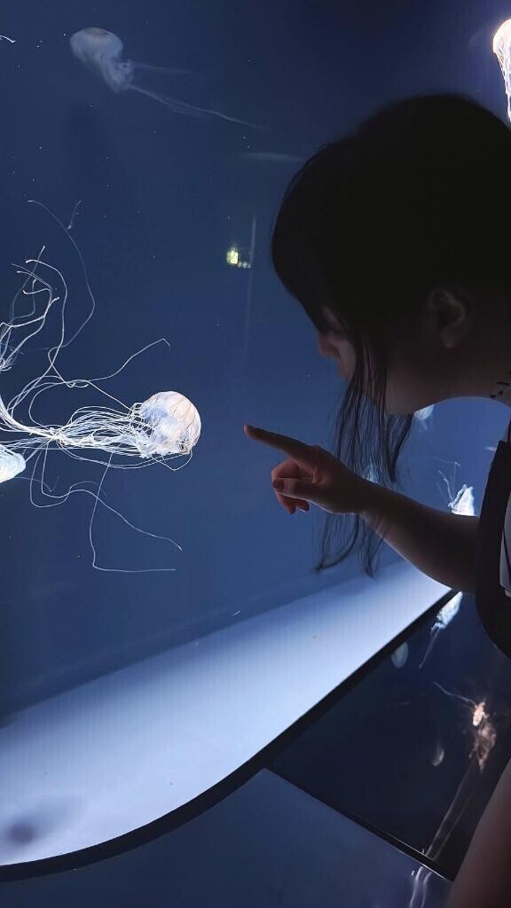 夜の月🌃🌙*ﾟ