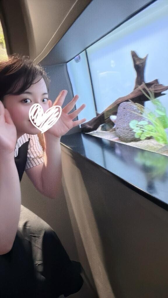 ウーパールーパー꒰( ˙𐃷˙ )꒱