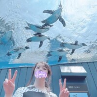 すいすい( 〜'ω' )〜