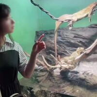 アクティブデート👫💓