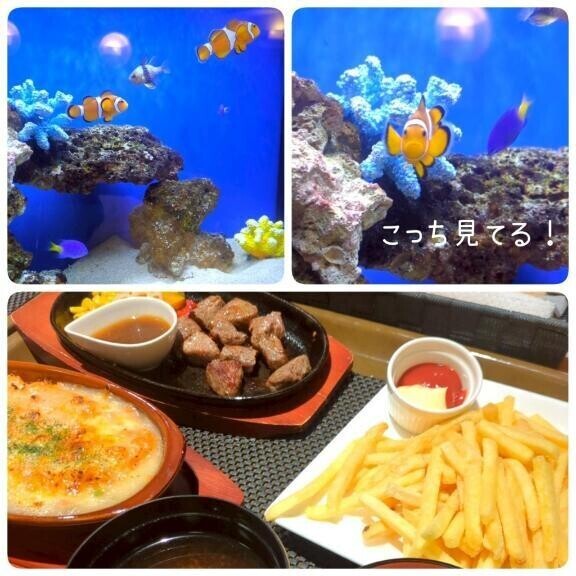 7/29 お礼🌟水族館みたいなホテル🐬
