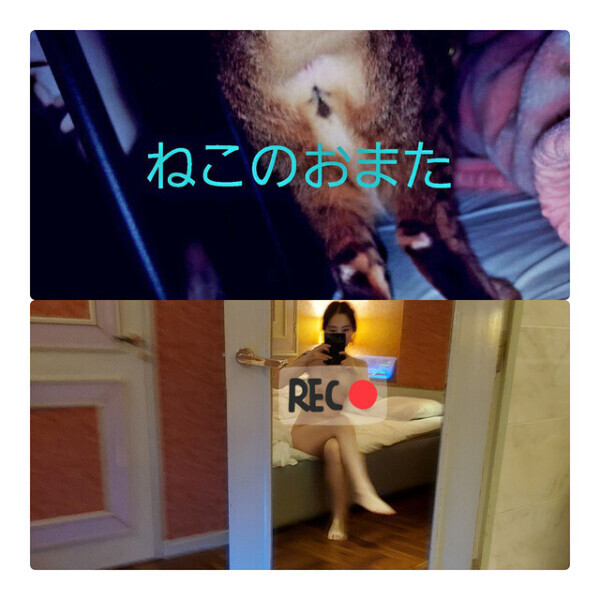今日も出勤します((o(^∇^)o))