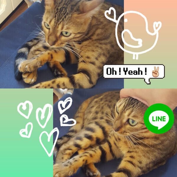 本指名のH様＼(^-^)／