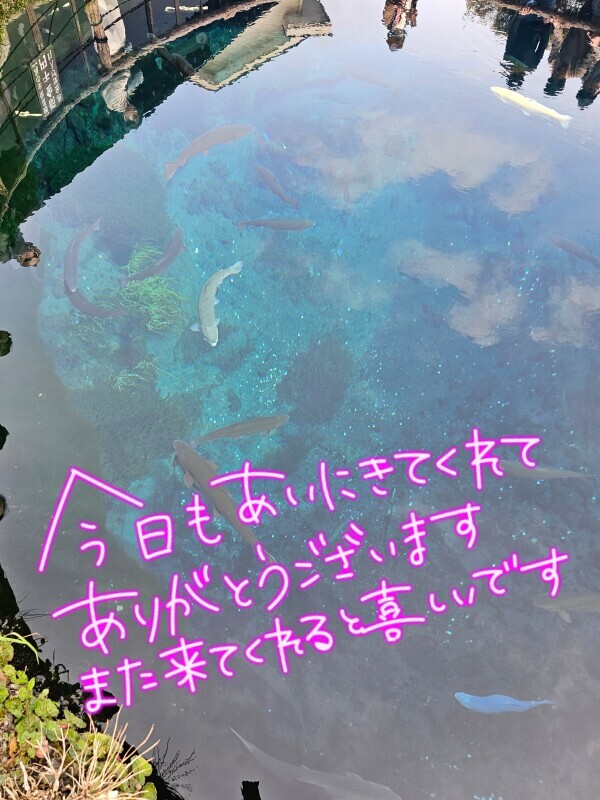 お礼✨️