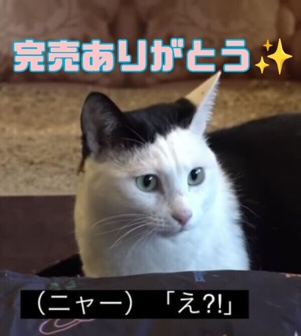 今日は満枠です🙂‍↕️🙏💞