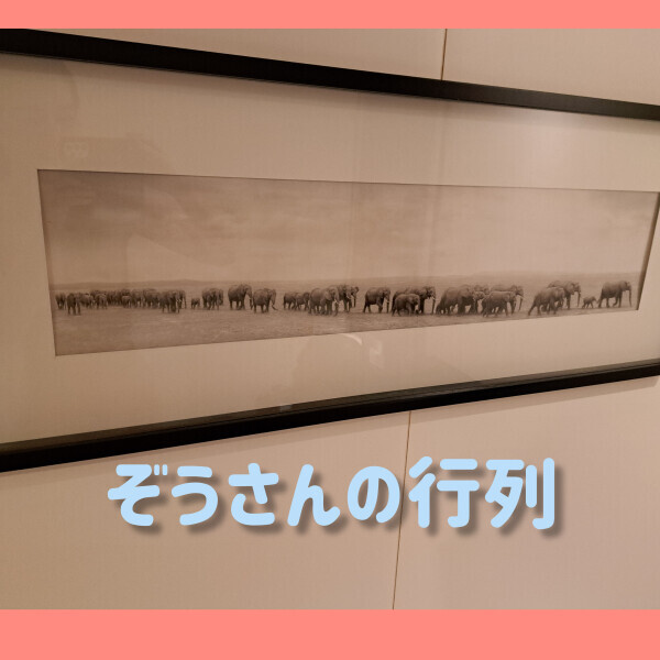 💗ミューズのS様💗