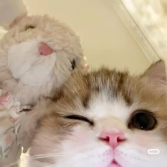 うぱうぱ！