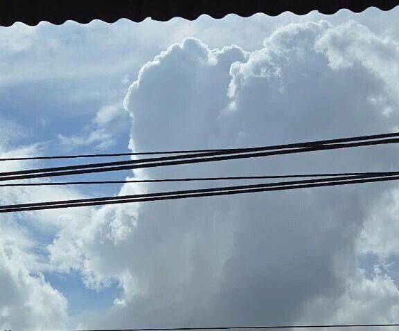 出勤です