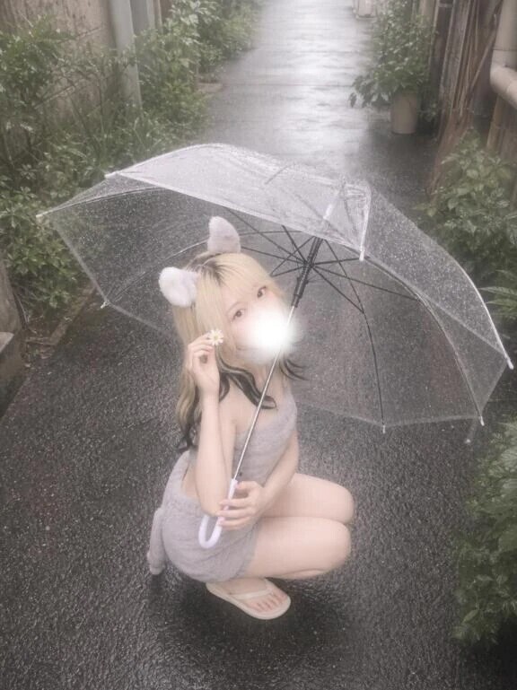 透明傘