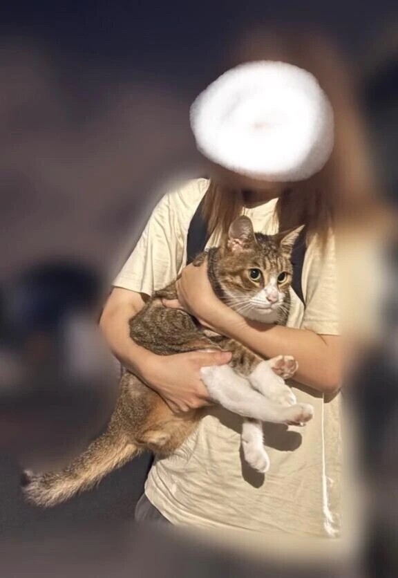 迎え酒