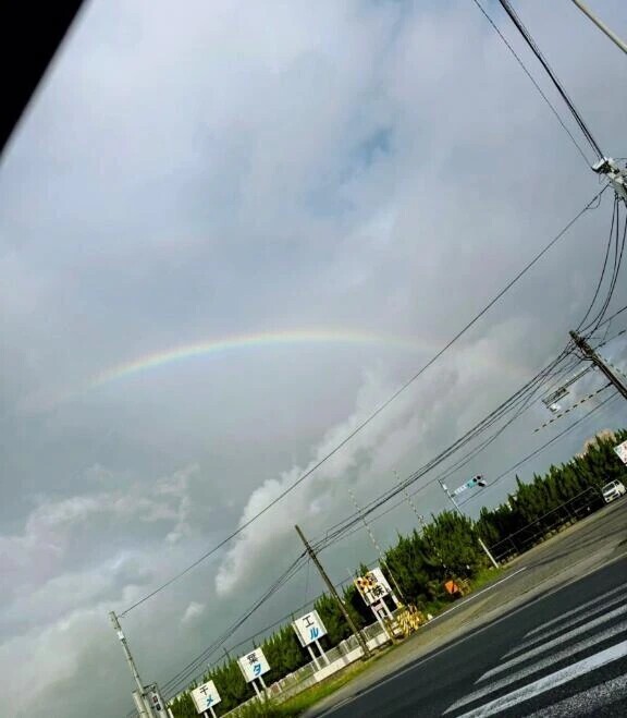 ぺにょん( ˘ω˘ ) ｽﾔｧ…