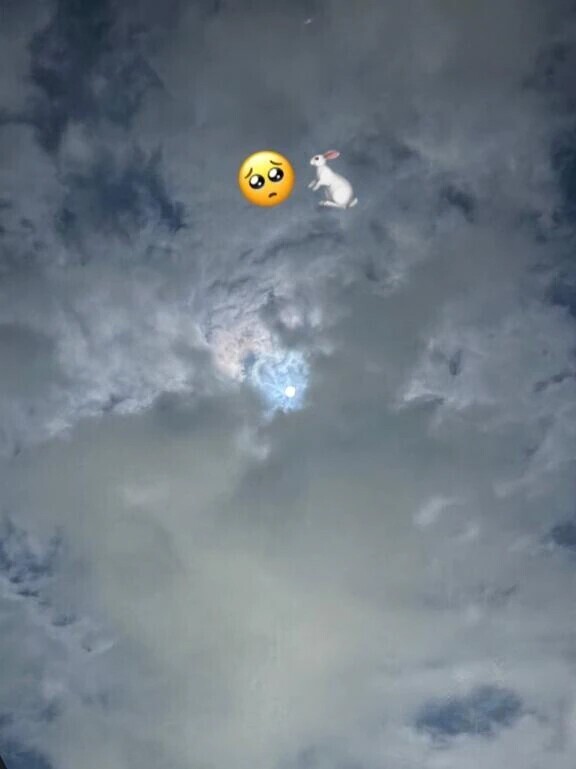 まん🌕