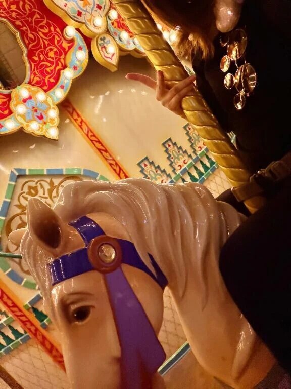 🎠