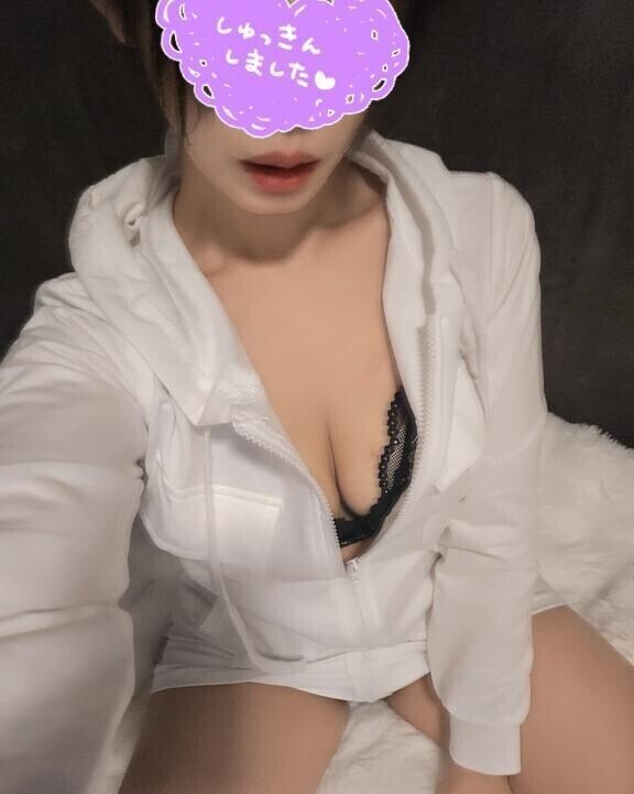 出勤しました